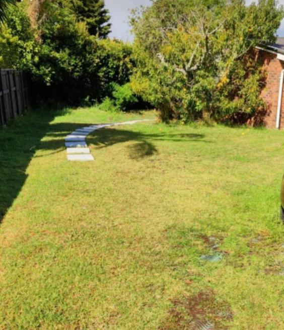 Separate Entry Guest Room With Private Bathroom In Forrest Hill Auckland Eksteriør bilde